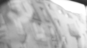 10711415_10204048719929714_144646119_n