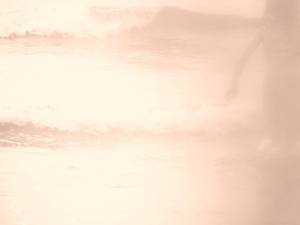 10716080_10204057922039761_119713733_n