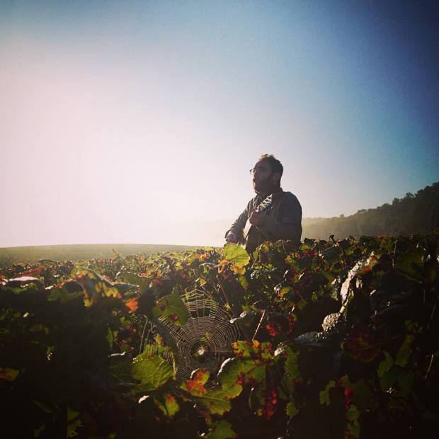 camille-blogo-vignes