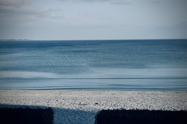 90124703_3677111812359840_7832940017600167936_o